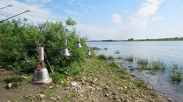 Колокольчики