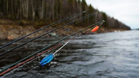 Ловля на бомбарду