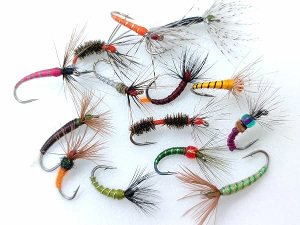 Мушка Кебари