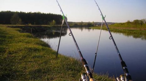 Отличие удочки от спиннинга