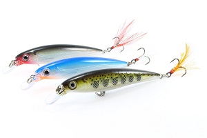 Rapala X-Rap 10
