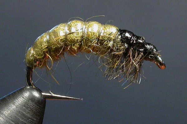 Мушка ручейник