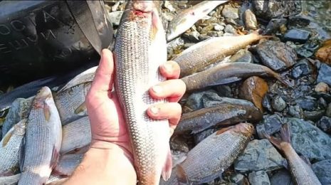 Рыбалка в Кемеровской области