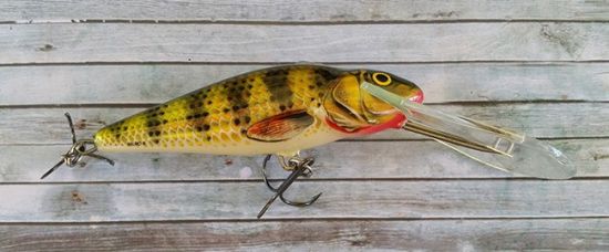 Salmo Perch Super Deep Runner