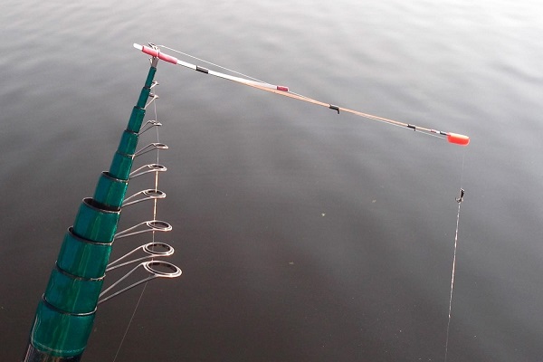 Удочка с боковым кивком