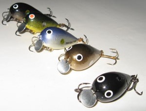 Винницкий головастик