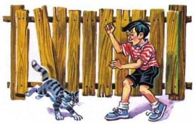 Толе Клюквину перебегает дорогу кошка