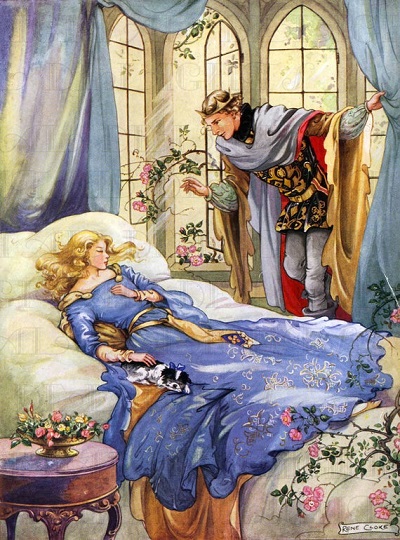 Принц нашел спящую красавицу принцессу